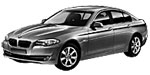 BMW F10 B208F Fault Code